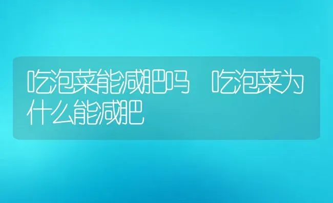 什么水果能止咳化痰 五类水果止咳化痰效果好 | 养殖资料投稿
