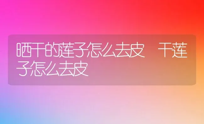 晒干的莲子怎么去皮 干莲子怎么去皮 | 养殖资料投稿