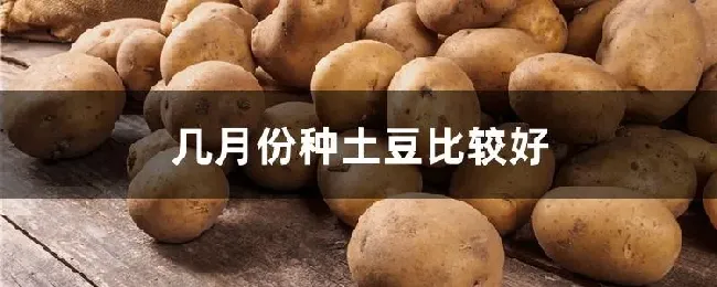 几月份种土豆比较好