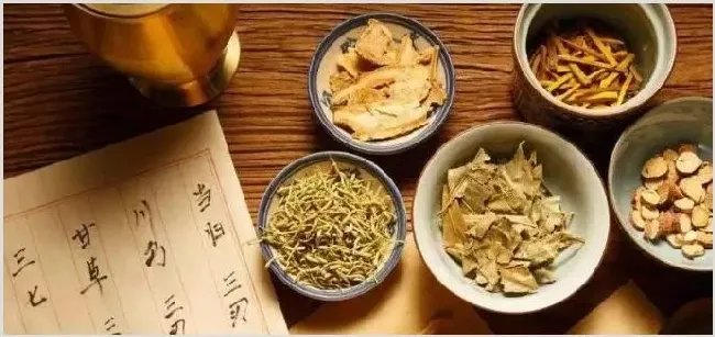 一年生亩效益过万的药材有哪些推荐 | 养殖赚钱项目