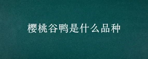 樱桃谷鸭是什么品种