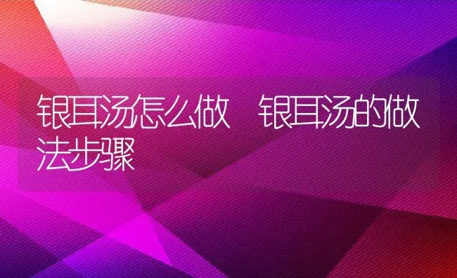 银耳汤怎么做 银耳汤的做法步骤 | 养殖资料投稿