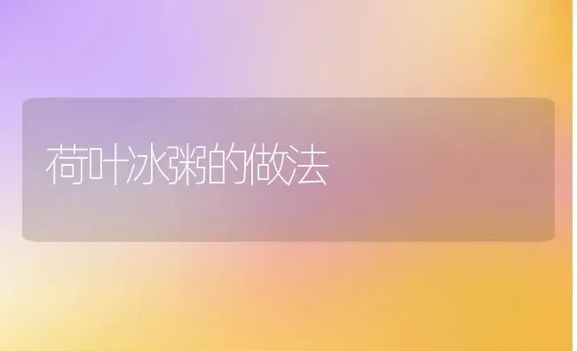 荷叶冰粥的做法 | 养殖资料投稿