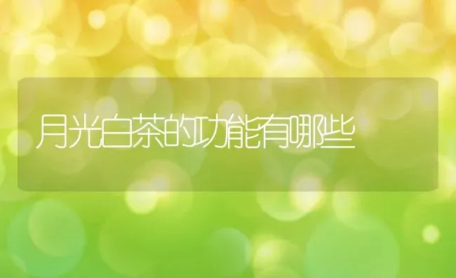 月光白茶的功能有哪些 | 养殖资料投稿