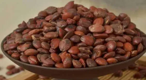 酸枣仁泡水喝的功效与作用