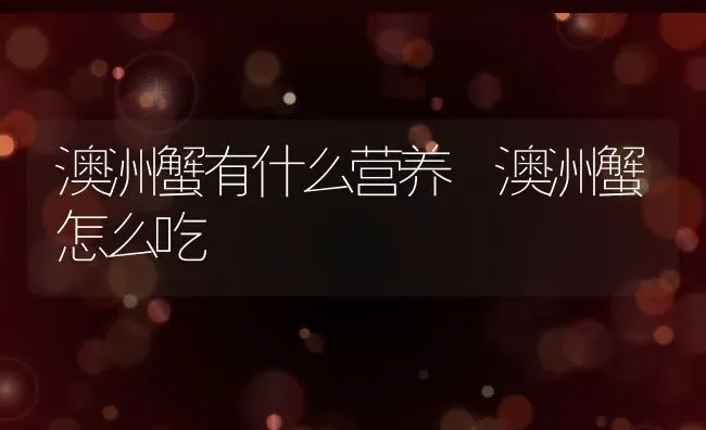 澳洲蟹有什么营养 澳洲蟹怎么吃 | 养殖资料投稿