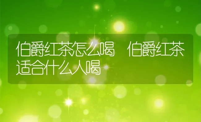 伯爵红茶怎么喝 伯爵红茶适合什么人喝 | 养殖资料投稿