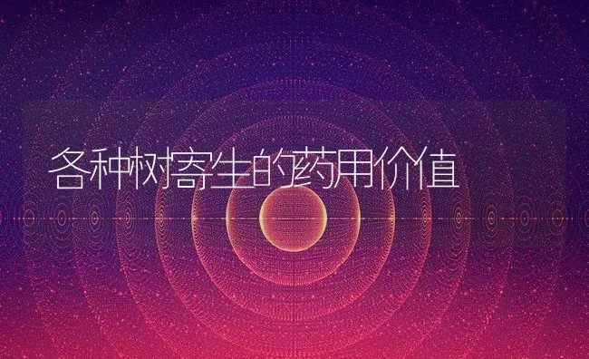 各种树寄生的药用价值 | 养殖资料投稿