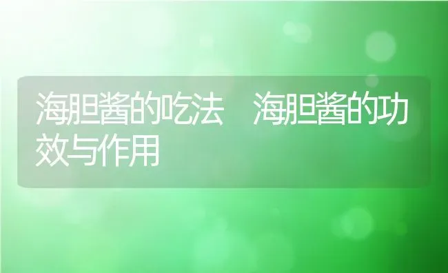 海胆酱的吃法 海胆酱的功效与作用 | 养殖资料投稿