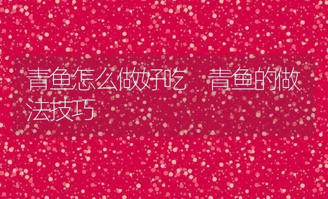 青鱼怎么做好吃 青鱼的做法技巧 | 养殖资料投稿
