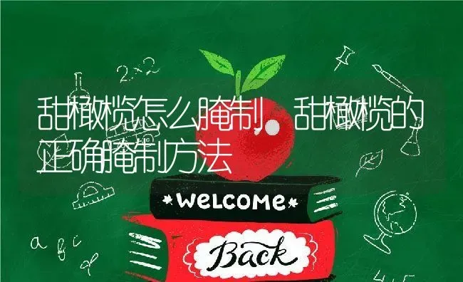 甜橄榄怎么腌制 甜橄榄的正确腌制方法 | 养殖资料投稿