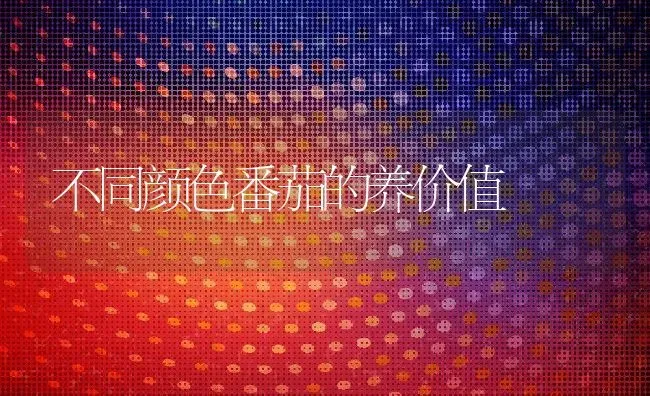不同颜色番茄的养价值 | 养殖资料投稿