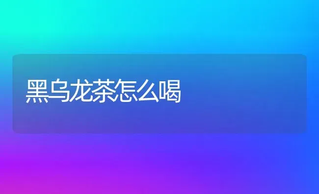 黑乌龙茶怎么喝 | 养殖资料投稿