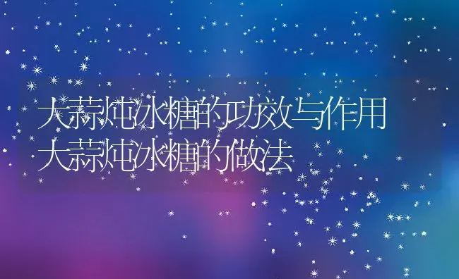 大蒜炖冰糖的功效与作用 大蒜炖冰糖的做法 | 养殖资料投稿