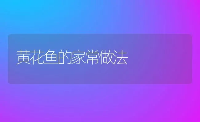 黄花鱼的家常做法 | 养殖资料投稿