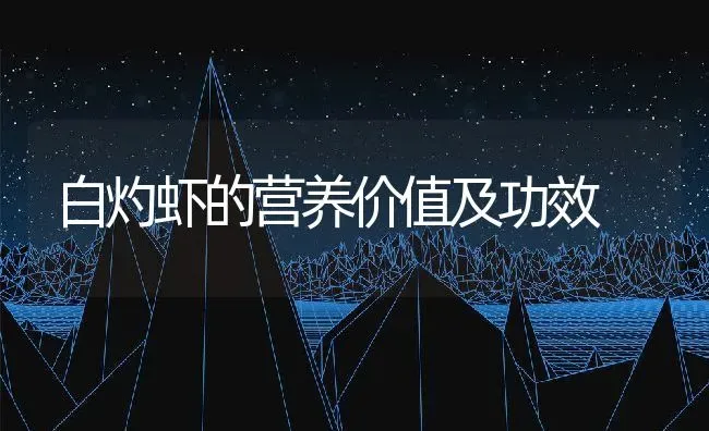 白灼虾的营养价值及功效 | 养殖资料投稿