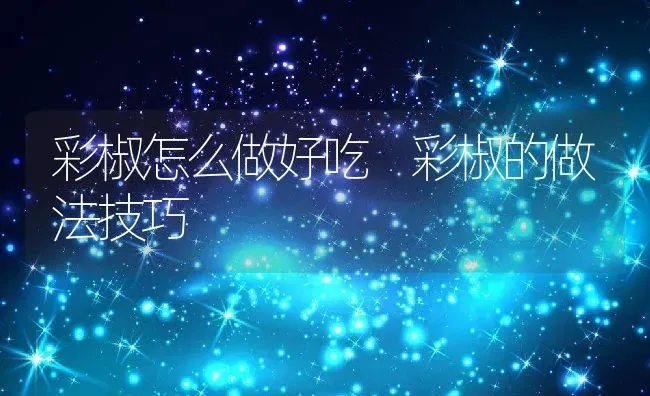 彩椒怎么做好吃 彩椒的做法技巧 | 养殖资料投稿