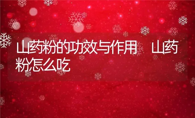 山药粉的功效与作用 山药粉怎么吃 | 养殖资料投稿