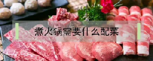 煮火锅需要什么配菜