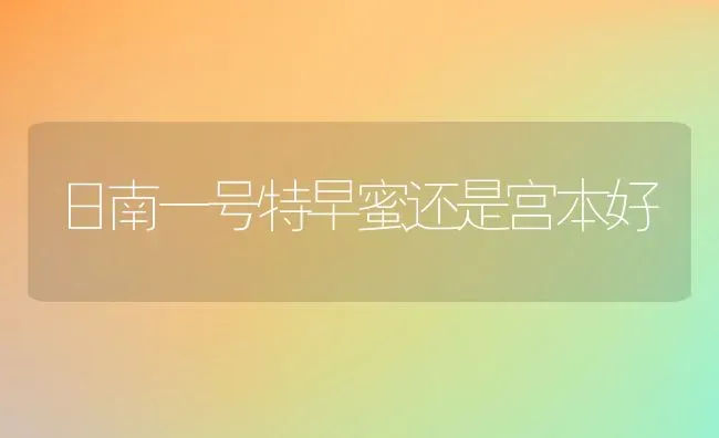 日南一号特早蜜还是宫本好 | 养殖资讯