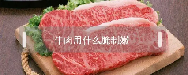 牛肉用什么腌制嫩