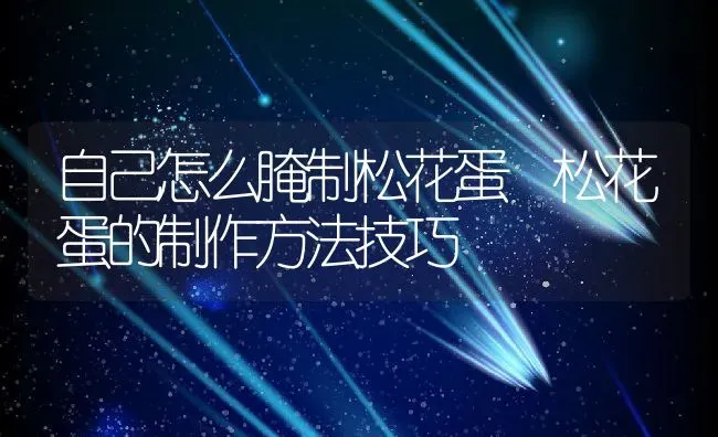 自己怎么腌制松花蛋 松花蛋的制作方法技巧 | 养殖资料投稿
