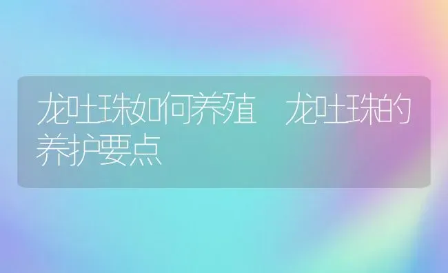 龙吐珠如何养殖 龙吐珠的养护要点 | 养殖资料投稿