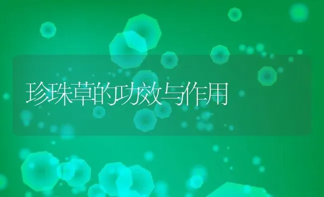 珍珠草的功效与作用 | 养殖资料投稿