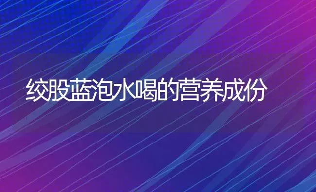 绞股蓝泡水喝的营养成份 | 养殖资料投稿