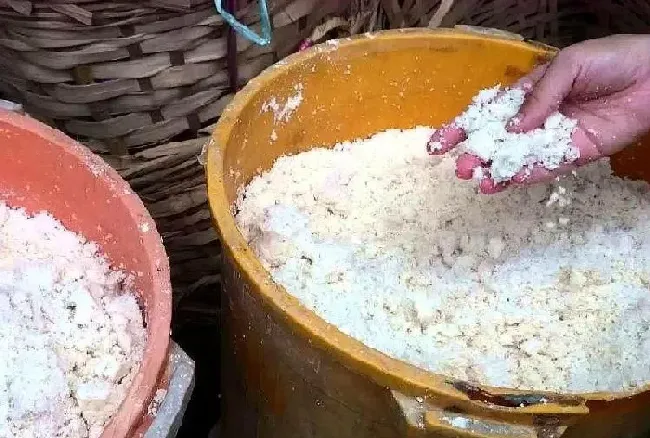 种菜|韭菜越长越细什么原因（家里自己种的韭菜为什么越长越小）