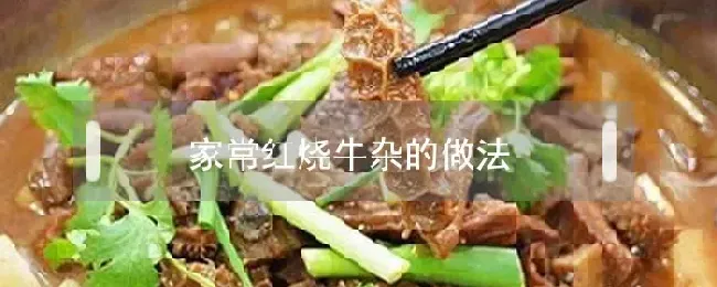 家常红烧牛杂的做法