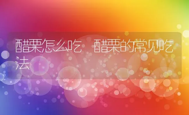 醋栗怎么吃 醋栗的常见吃法 | 养殖资料投稿