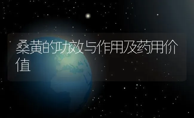 桑黄的功效与作用及药用价值 | 养殖资料投稿