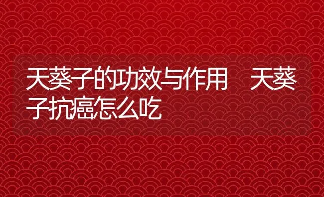 天葵子的功效与作用 天葵子抗癌怎么吃 | 养殖资料投稿