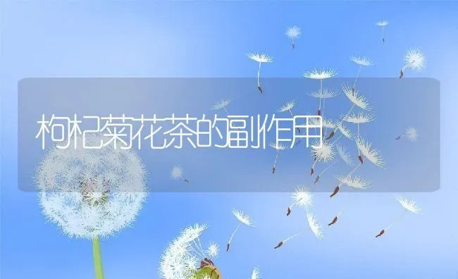 黑杜仲的功效与作用 | 养殖资料投稿