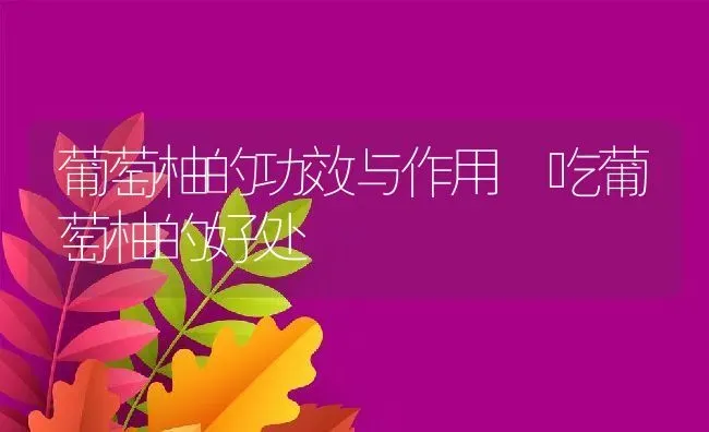 葡萄柚的功效与作用 吃葡萄柚的好处 | 养殖资料投稿