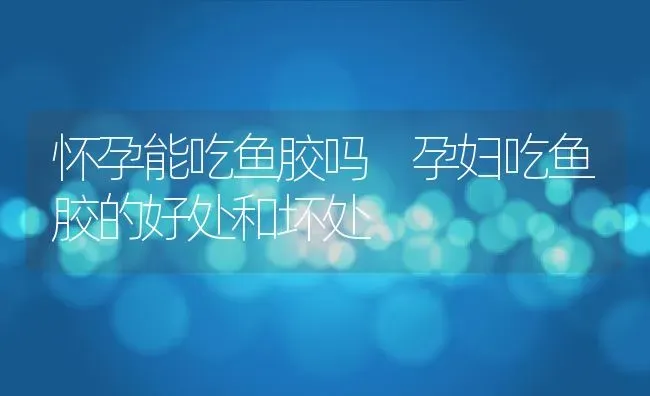 怀孕能吃鱼胶吗 孕妇吃鱼胶的好处和坏处 | 养殖资料投稿