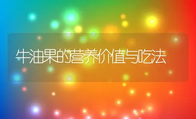 牛油果的营养价值与吃法 | 养殖资料投稿