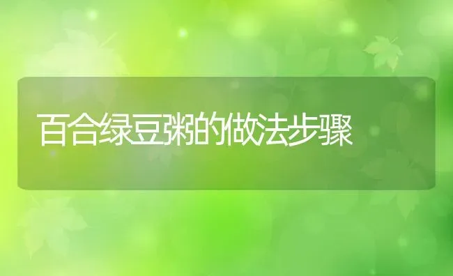 百合绿豆粥的做法步骤 | 养殖资料投稿