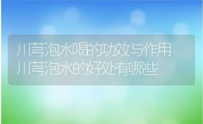 川芎泡水喝的功效与作用 川芎泡水的好处有哪些 | 养殖资料投稿
