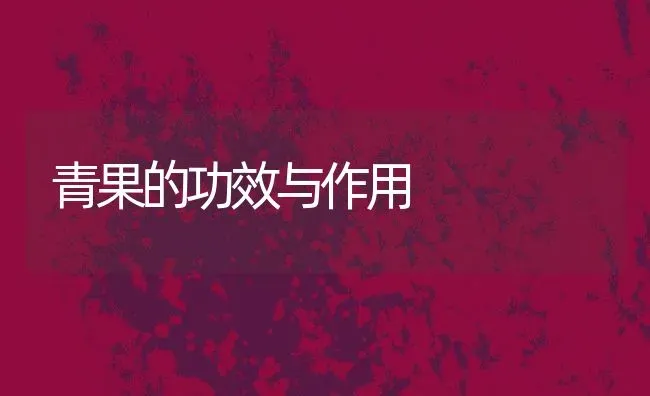 青果的功效与作用 | 养殖资料投稿