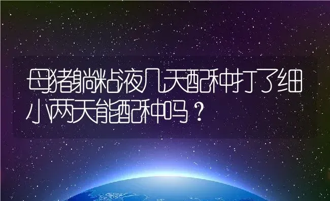 母猪躺粘液几天配种打了细小两天能配种吗？ | 养殖资讯