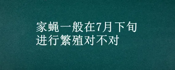 家蝇一般在7月下旬进行繁殖对不对