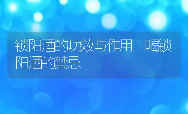 锁阳酒的功效与作用 喝锁阳酒的禁忌 | 养殖资料投稿