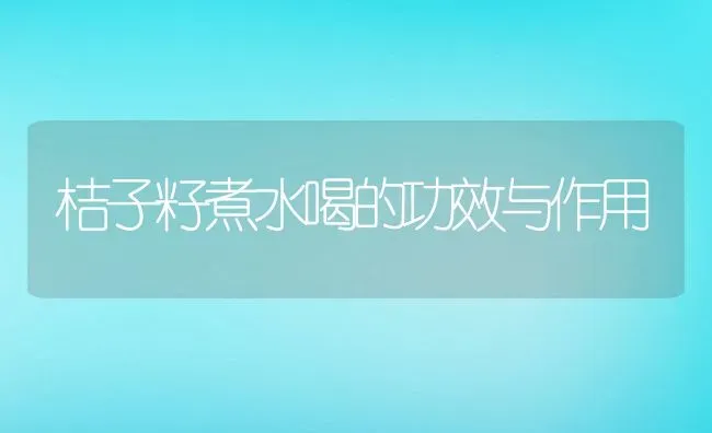 桔子籽煮水喝的功效与作用 | 养殖资料投稿