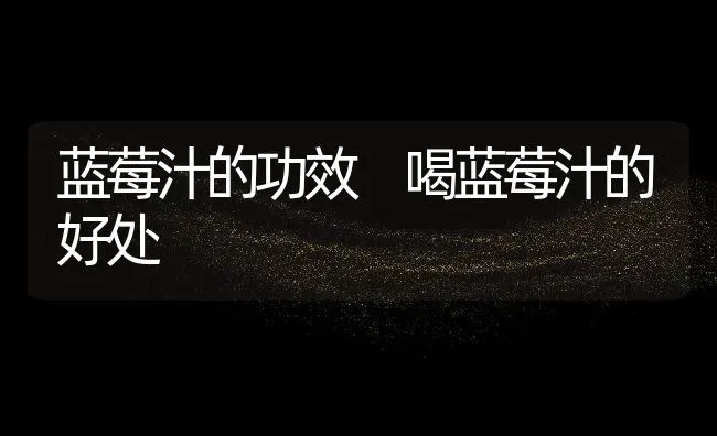 蓝莓汁的功效 喝蓝莓汁的好处 | 养殖资料投稿
