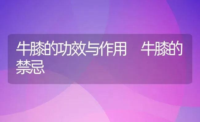 牛膝的功效与作用 牛膝的禁忌 | 养殖资料投稿