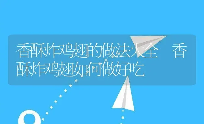 香酥炸鸡翅的做法大全 香酥炸鸡翅如何做好吃 | 养殖资料投稿