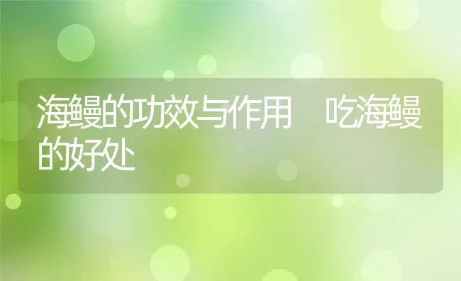 海鳗的功效与作用 吃海鳗的好处 | 养殖资料投稿