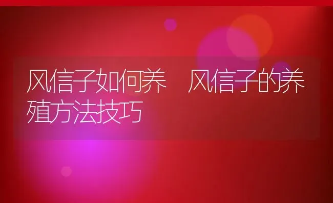 风信子如何养 风信子的养殖方法技巧 | 养殖资料投稿